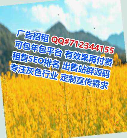 七星代生信息技术公司